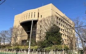 はなこタイムスの記事の画像